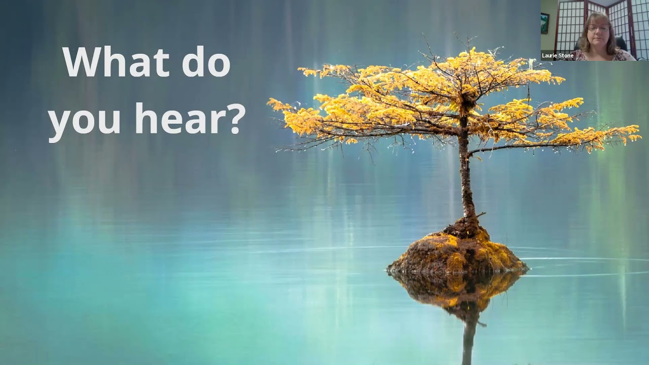 5 Senses Mindfulness Exercise