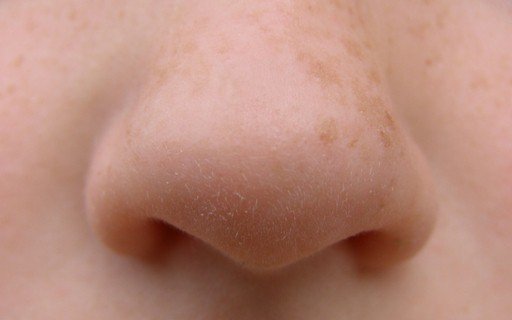 Nose, closeup