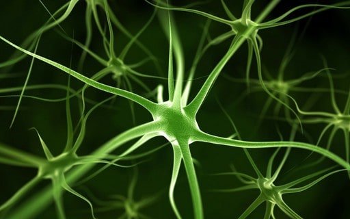Neuron in Green